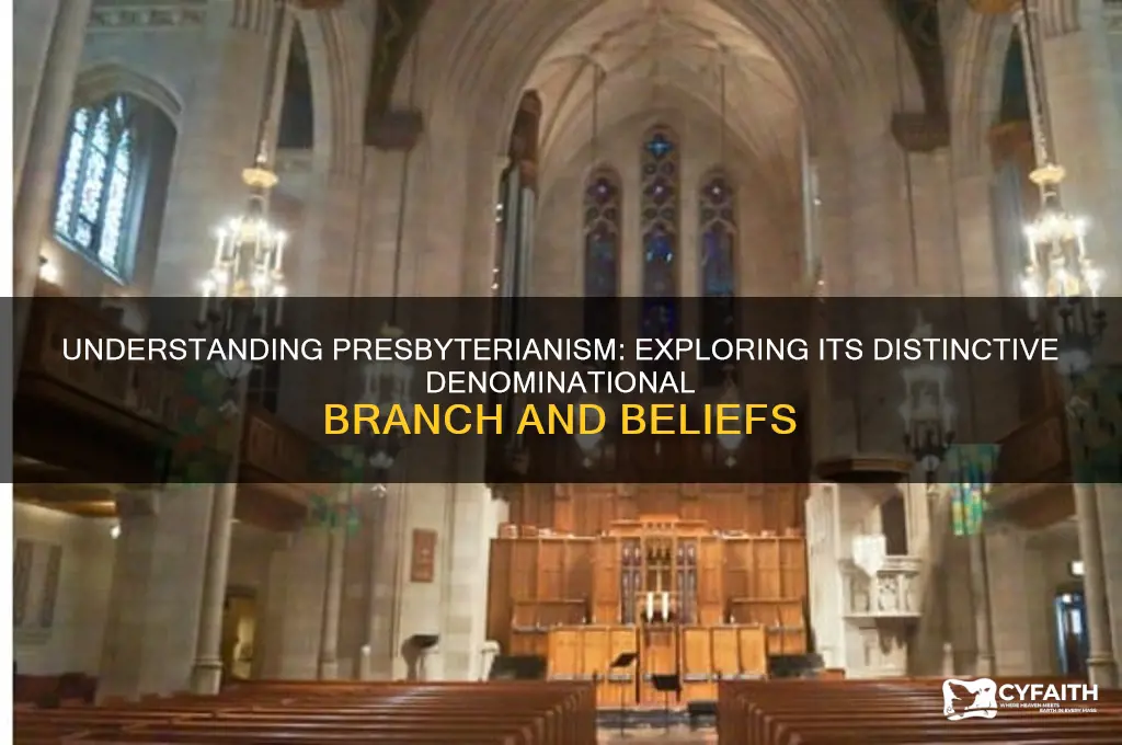 what branch is presbyterian