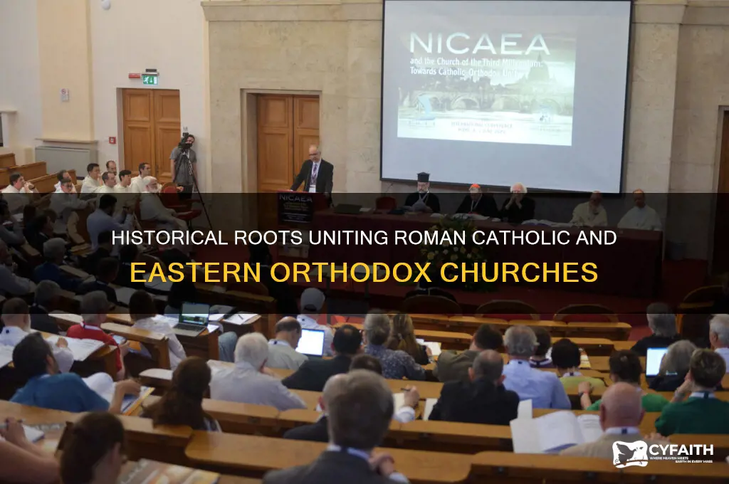 what brought roman catholic and eastern orthodox churches