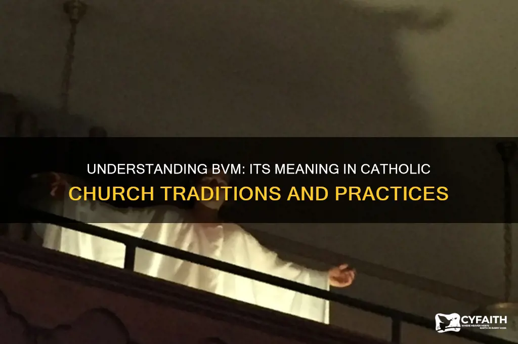 what bvm stands for catholic ch8ch