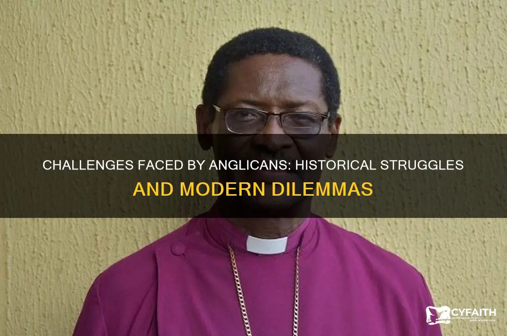 what callenges did anglican face