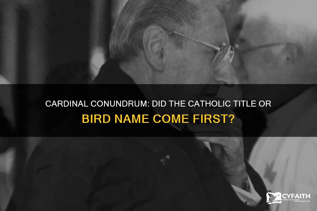 what came first catholic cardinal or bird name