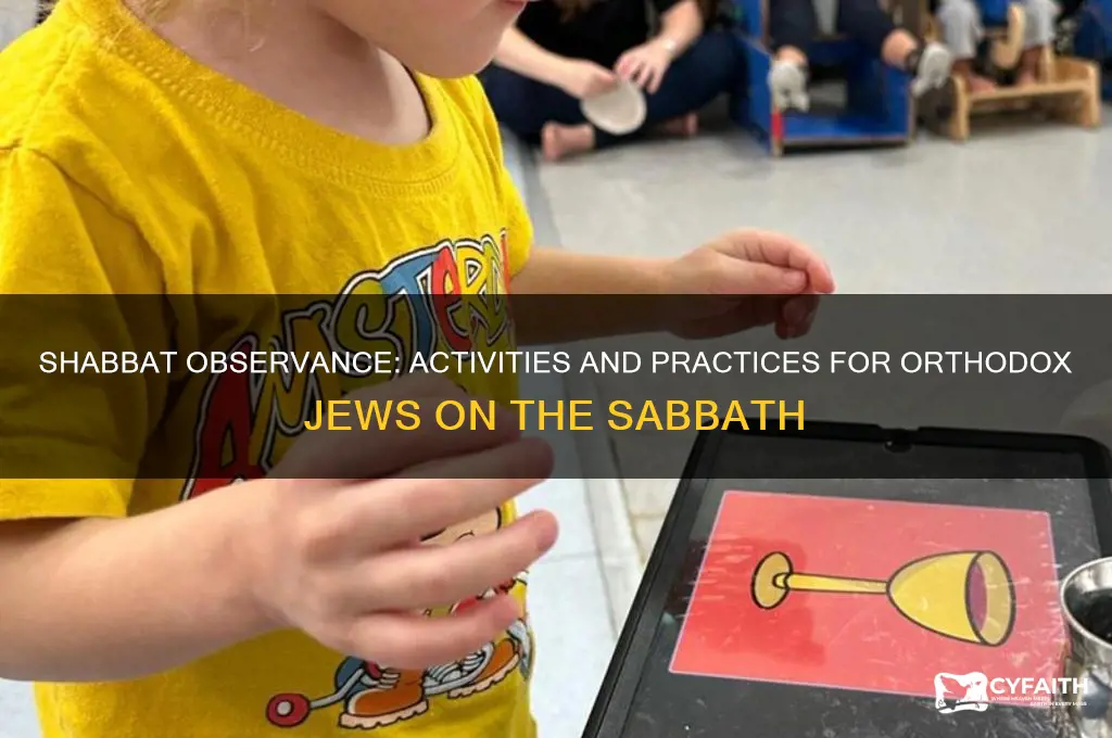 what can an orthodox jewish do on a shabbat day