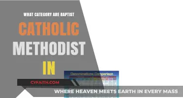 Understanding Baptist, Catholic, Methodist: Their Distinct Denominational Categories