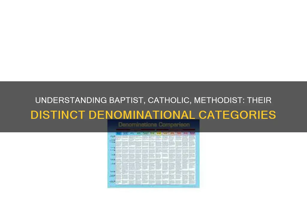 what category are baptist catholic methodist in