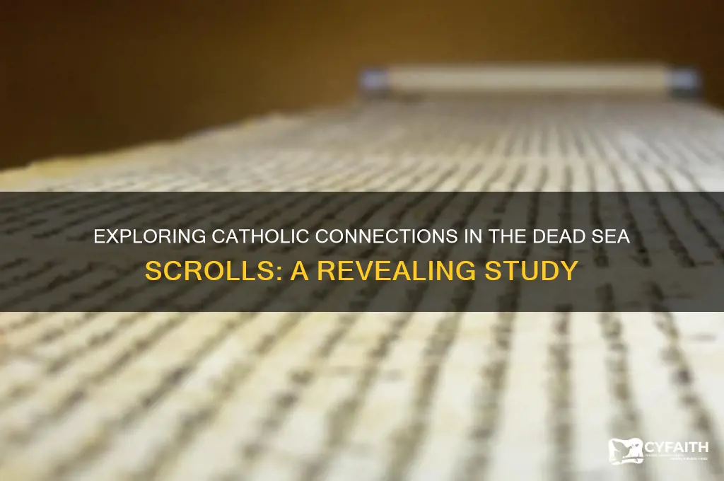 what catholic books in dead sea scrolls