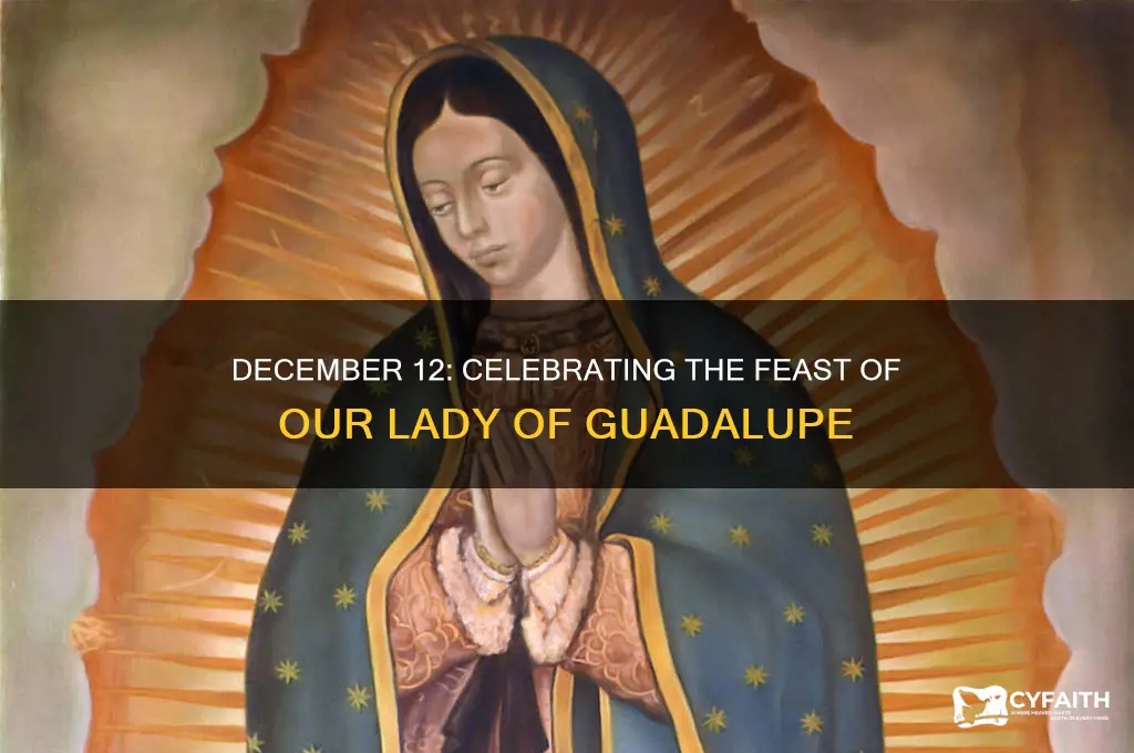 what catholic celebration is on december 12