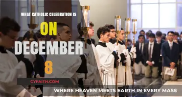 Immaculate Conception: The Solemn Catholic Celebration on December 8th