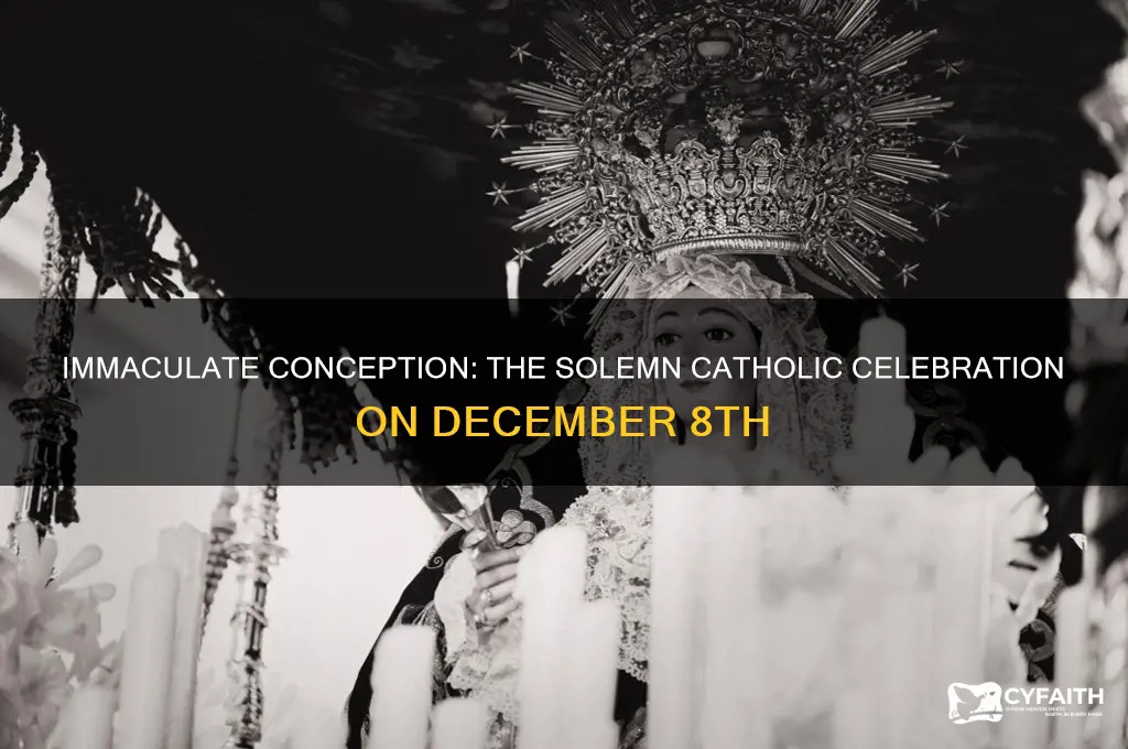 what catholic celebration is on december 8
