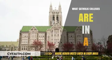 Discovering Catholic Colleges in Alabama: A Comprehensive Guide