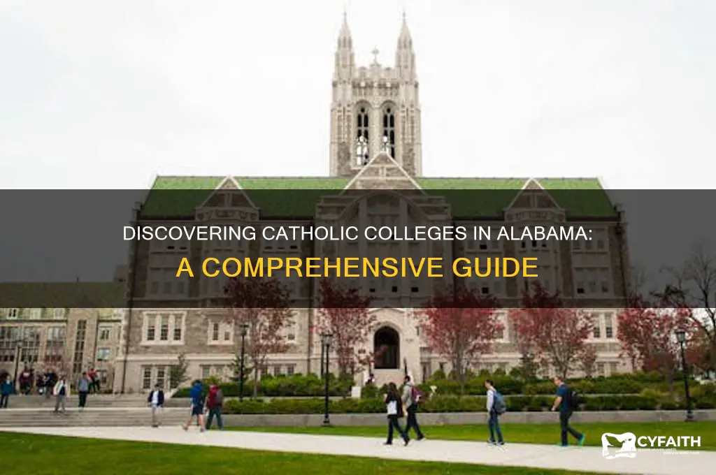 what catholic colleges are in a