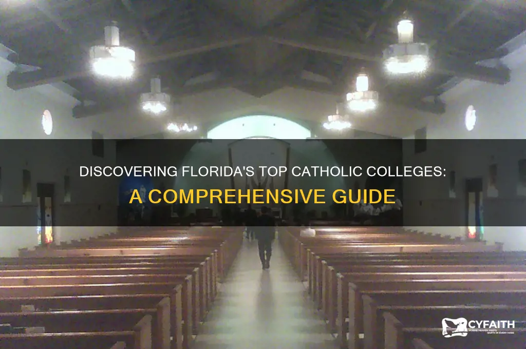 what catholic colleges are in fl