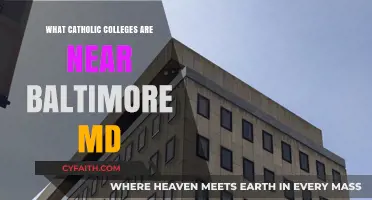Discover Top Catholic Colleges Near Baltimore, MD: Your Guide