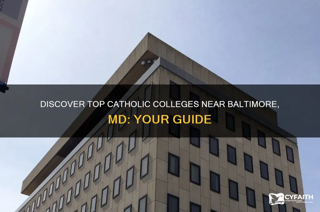 what catholic colleges are near baltimore md
