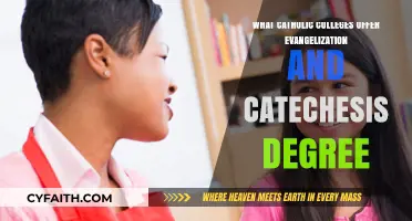 Catholic Colleges Offering Evangelization and Catechesis Degrees: A Guide
