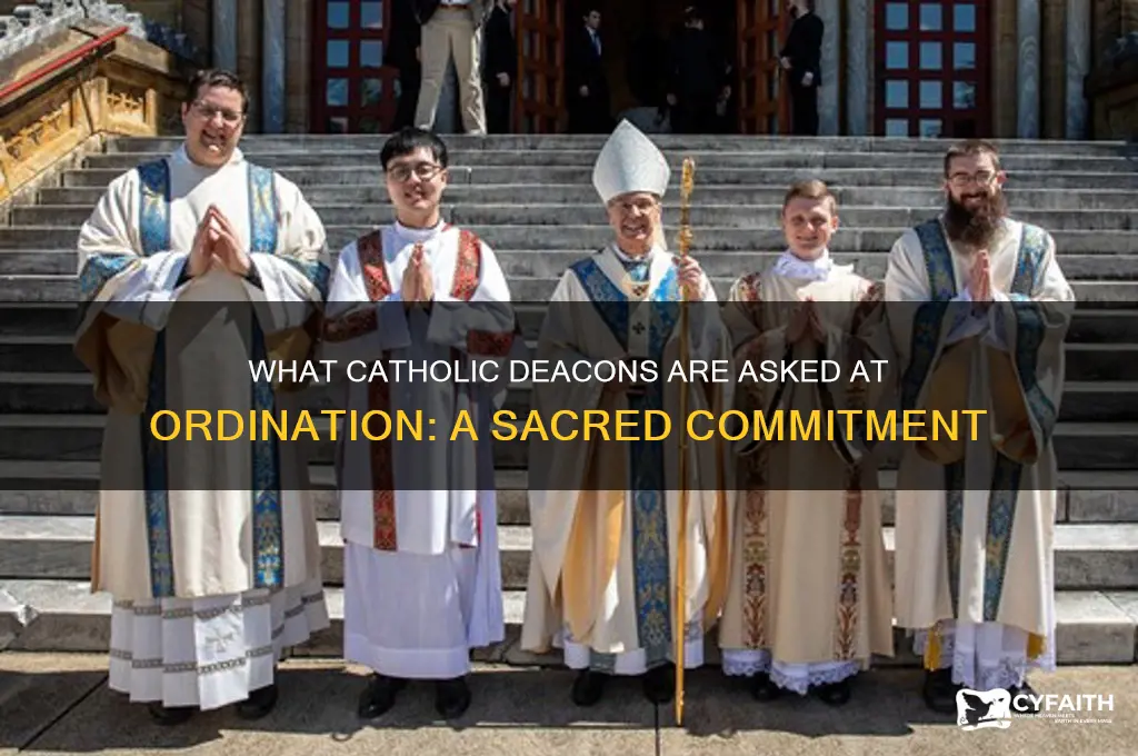 what catholic deacons are asked at ordination