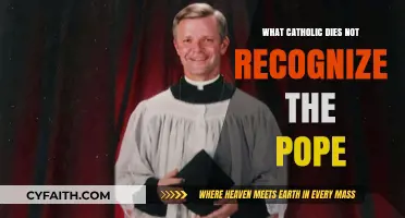 Catholics Who Reject Papal Authority: Understanding Sedevacantism and Resistance