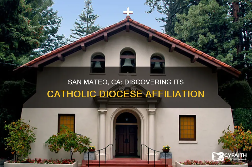 what catholic dioces is san mateo ca