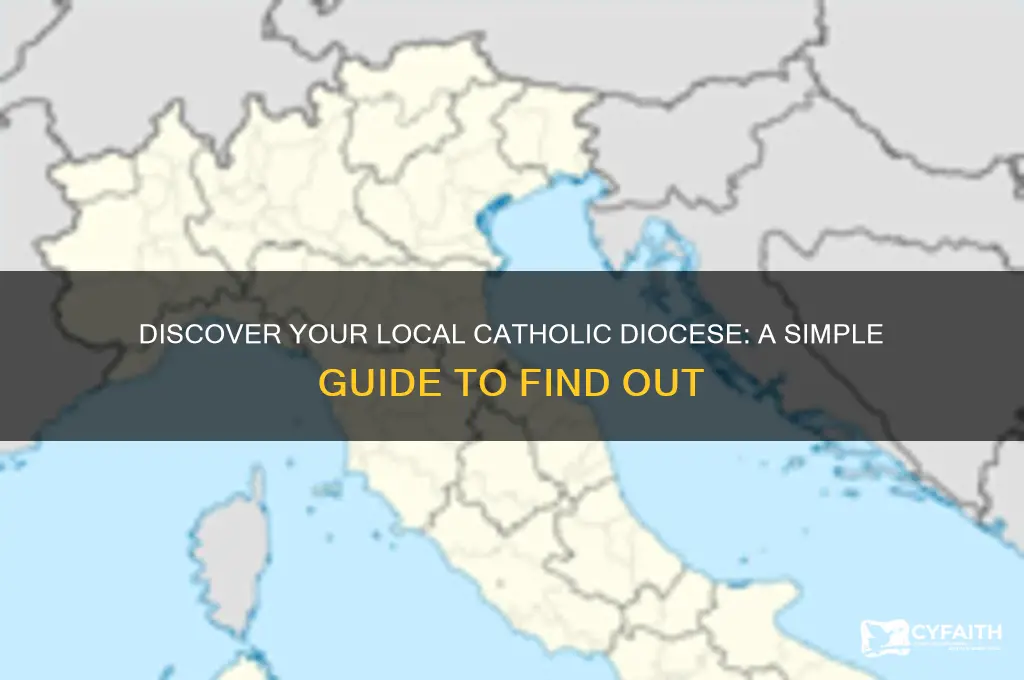 what catholic diocese am i in