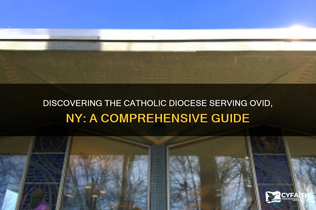 what catholic diocese for ovid ny