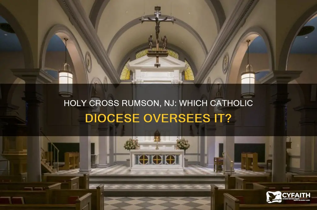 what catholic diocese is holy cross rumson new jersey in