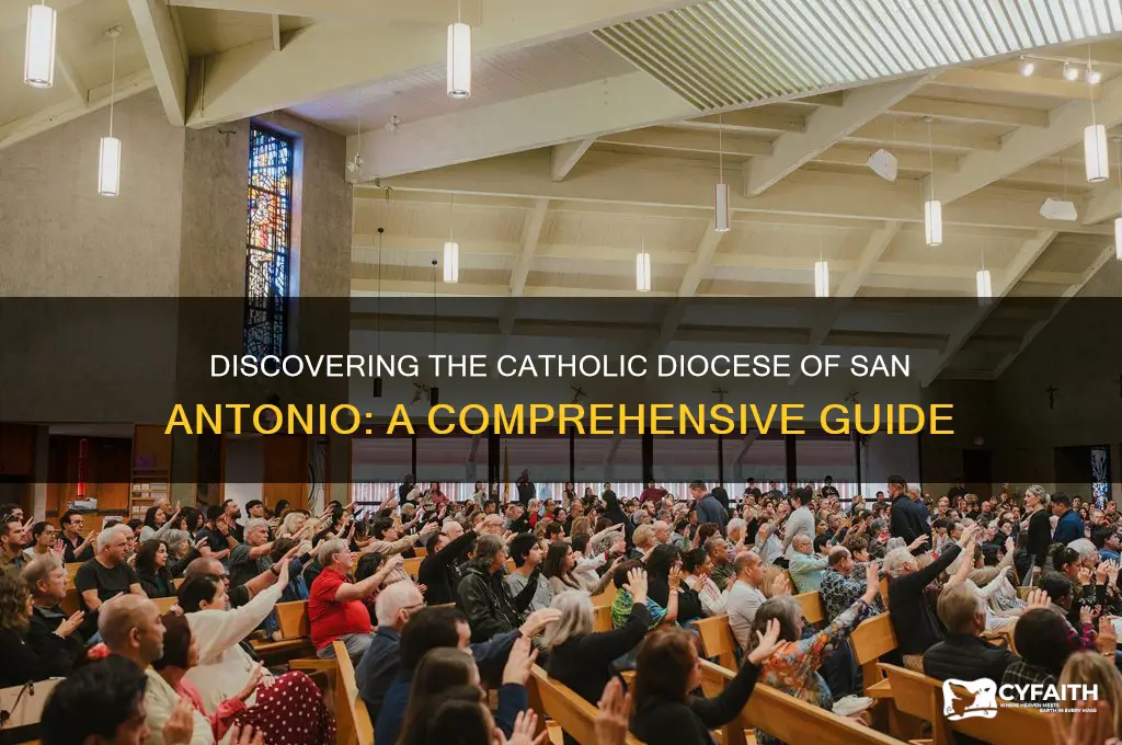 what catholic diocese is san antonio