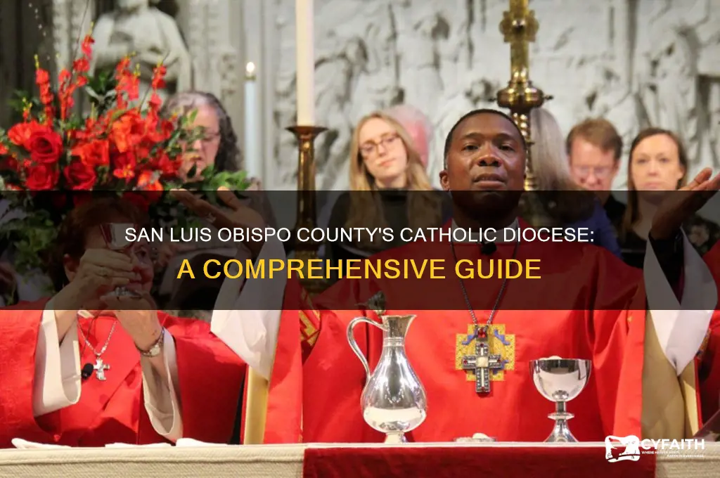 what catholic diocese is san luis obispo county