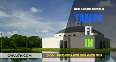 Tampa, FL: Discovering Its Catholic Diocese and Community