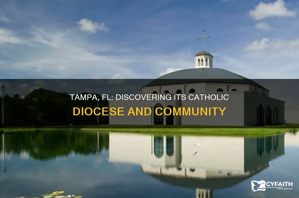 what catholic diocese is tampa fl in