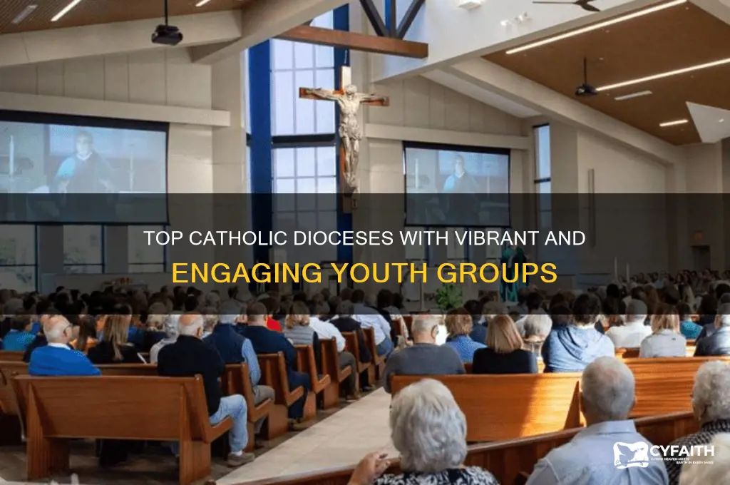 what catholic diocese with best youth groups