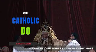 Understanding Catholic Practices: Faith, Sacraments, and Daily Life Explained