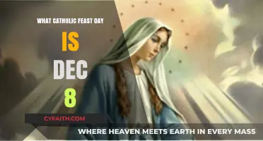 Immaculate Conception: Celebrating the Solemnity of December 8th in Catholicism