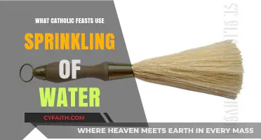 Sprinkling of Water in Catholic Feasts: Traditions and Meanings Explained