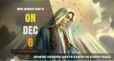 Immaculate Conception: Celebrating the Solemn Catholic Feast on December 8