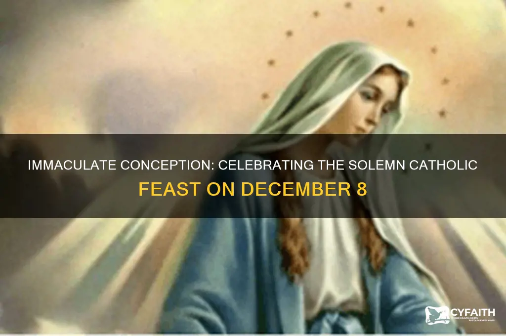 what catholic fesat is on dec 8