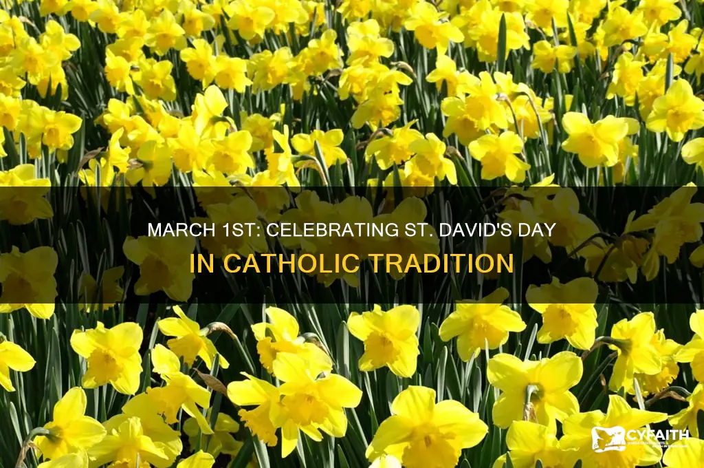 what catholic holiday happens on the first of march