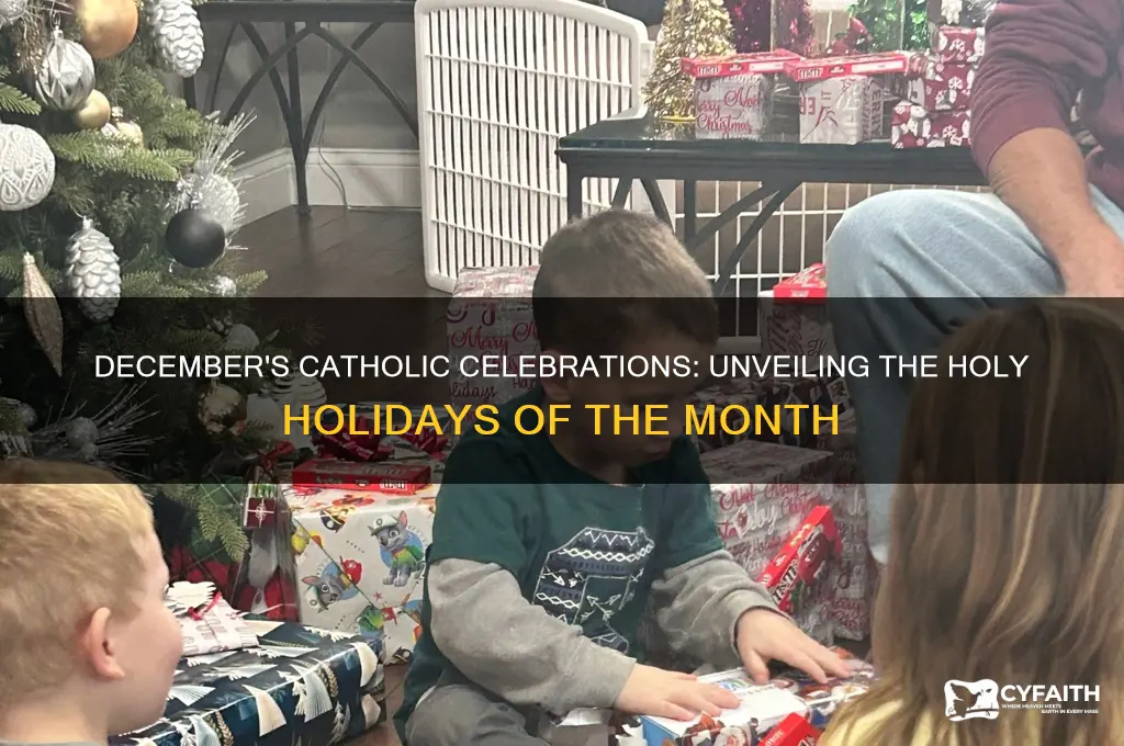 what catholic holiday is in december