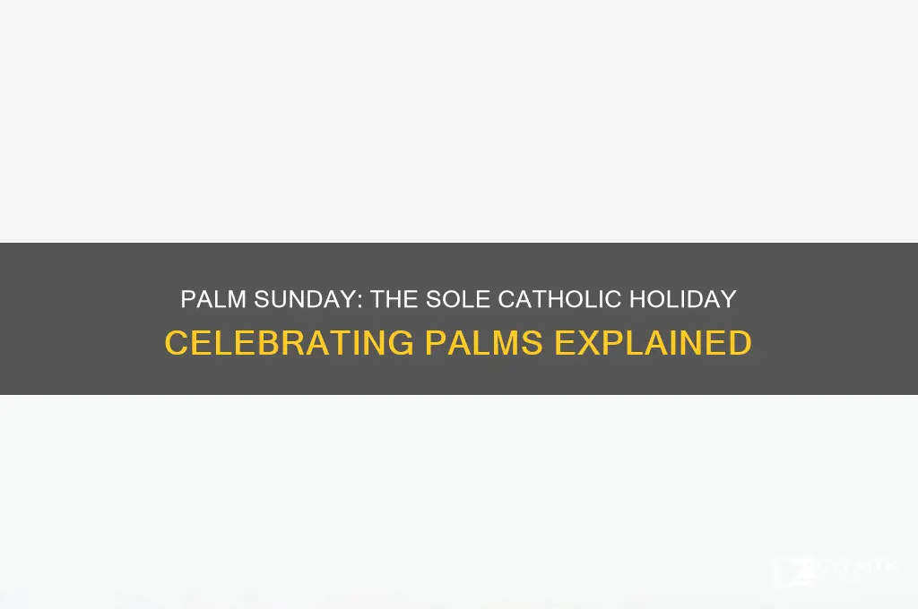 what catholic holidays include palms
