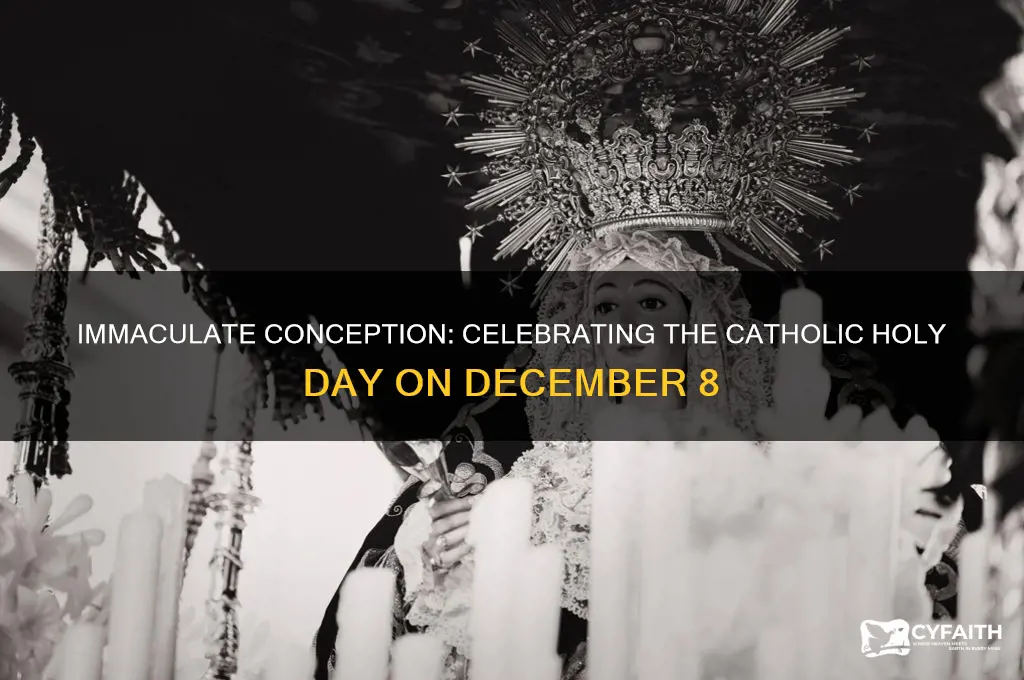 what catholic holy day is december 8