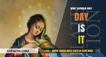Discover Today's Catholic Holy Day: A Daily Spiritual Guide