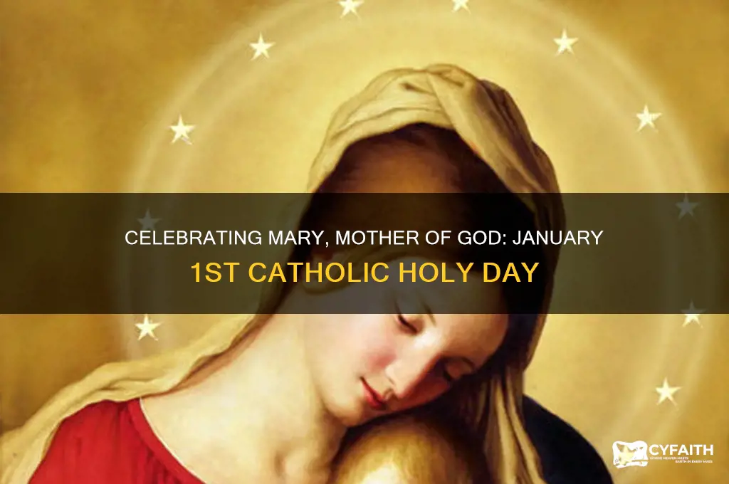 what catholic holy day is january 1