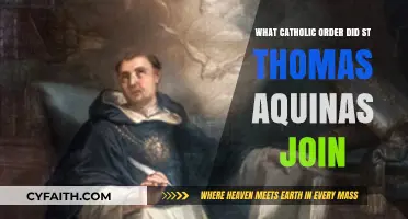 St. Thomas Aquinas: His Journey into the Dominican Order