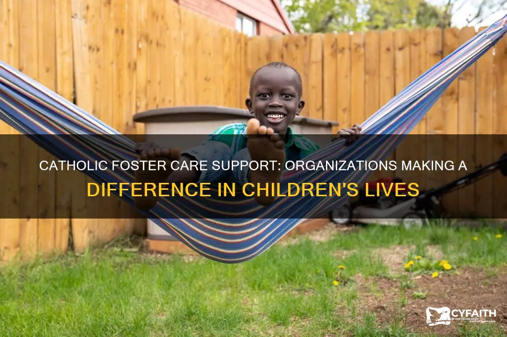 what catholic organizations are helpig with foster care
