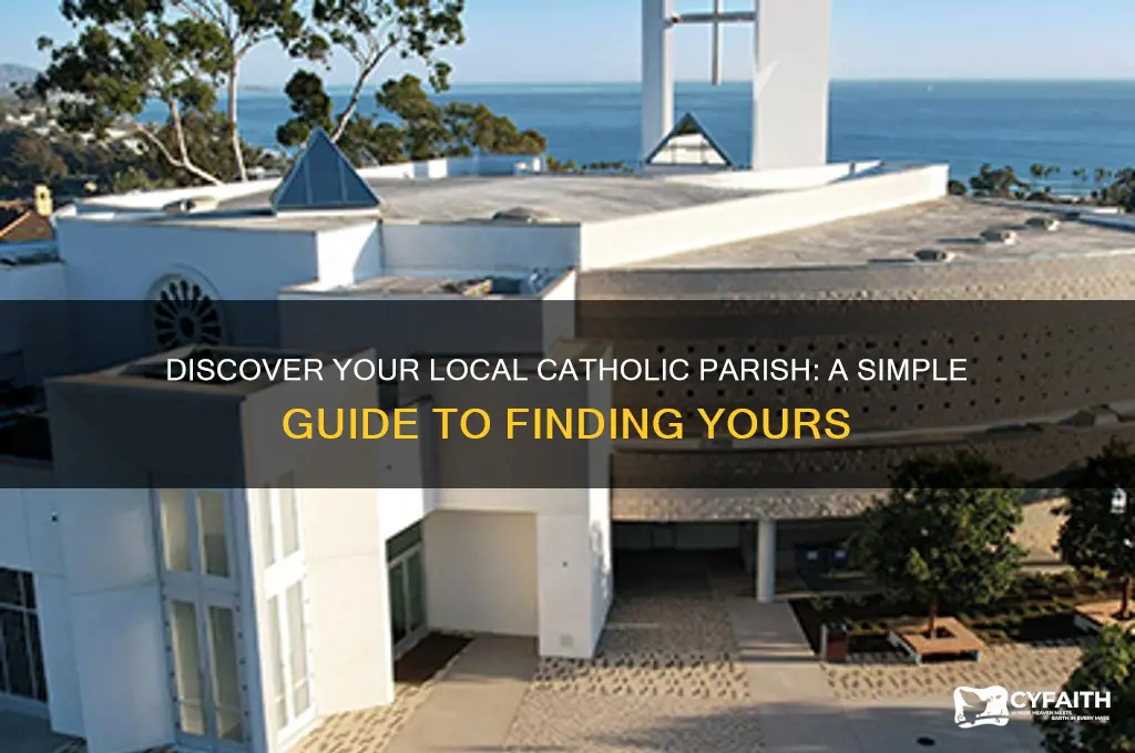 what catholic parish am i located in