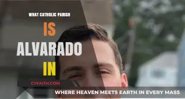 Discovering Alvarado's Catholic Parish: A Guide to Local Worship