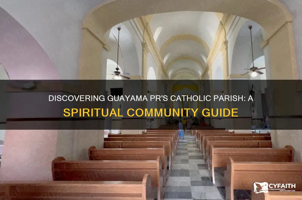 what catholic parish is guayama pr