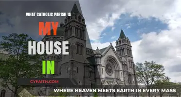 Finding Your Catholic Parish: A Guide to Locating Your Local Church