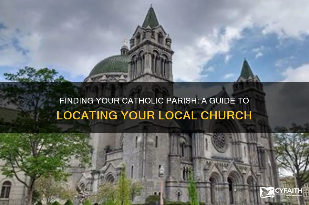 what catholic parish is my house in