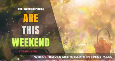 Catholic Picnics This Weekend: Local Events and Family Fun Guide