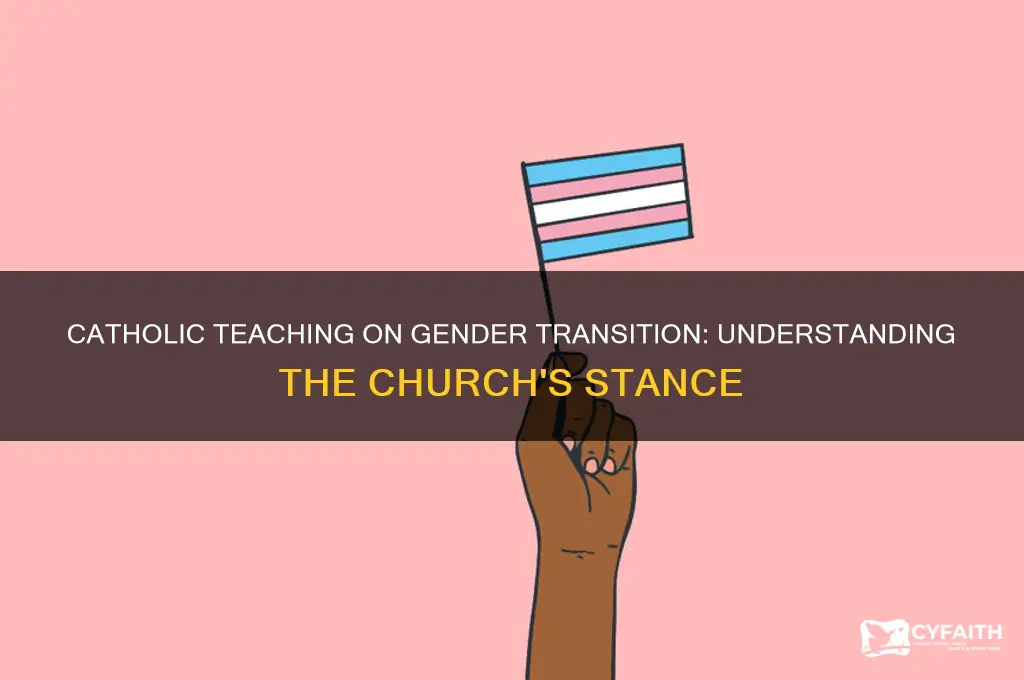 what catholic position on sex change