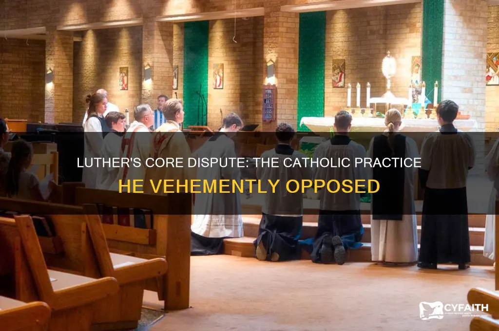 what catholic practice did martin luther most disagree with